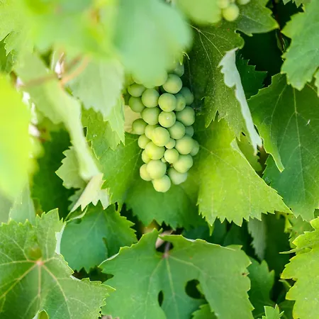 La Foudrerie #climatisation Holiday home