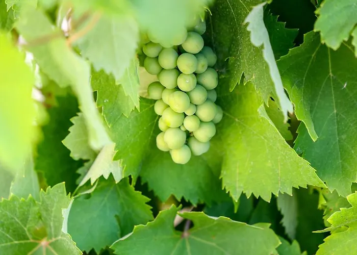 La Foudrerie #climatisation Hébergement de vacances